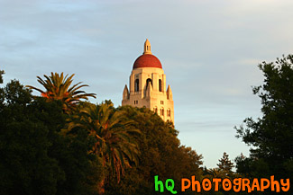 Hoover Tower at Dusk