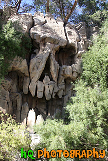 Treasure Island Skull