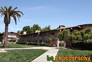 Graham Residence Hall & Palm Tree