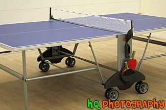 Ping Pong Table