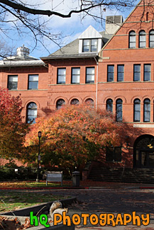 Brick Building and Squirrel at UW