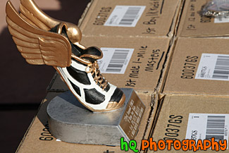 Shoe with Wings Trophey