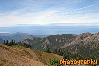 Olympic National Park View