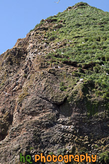 Haystack Rock up Close