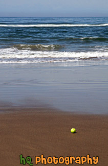 Tennis Ball on Beach