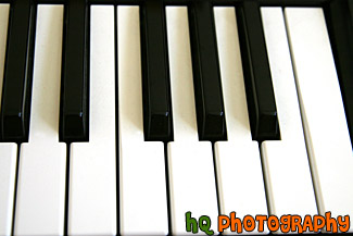 Piano Keys