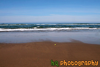 Tennis Ball on Ocean Beach