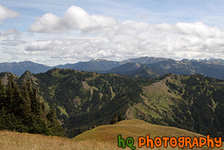 Olympic Mountain Ranges