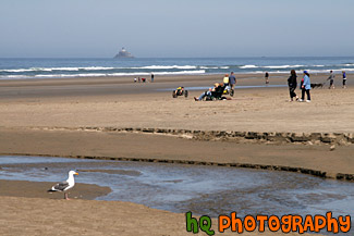 Cannon Beach, People, & Lighthouse