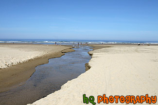 Beach & Ocean Water