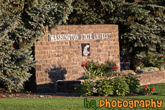 Washington State University Entrance