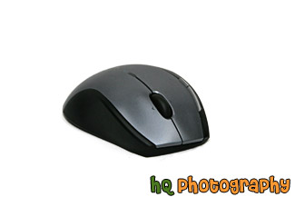 Computer Mouse