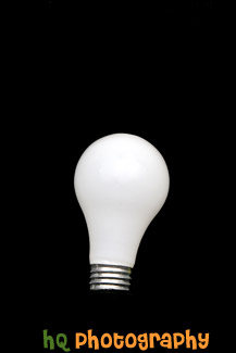 Light Bulb