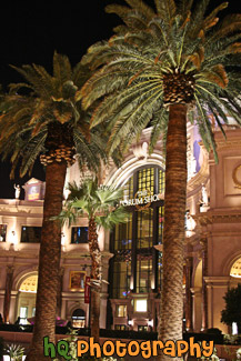 Forum Shops at Night