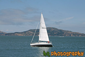 White Sailboat in San Francisco Bay