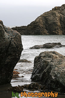 Rocks & Seaweed on Shore