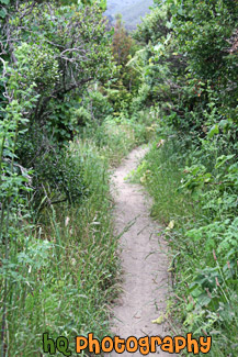 Hiking Trail Along Beach