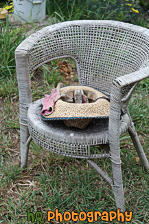 Hat & Gloves on Chair