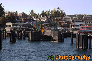 Friday Harbor Shore