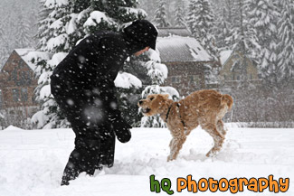 Playing in the Snow