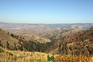 Idaho Hills