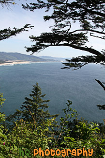 Oregon Coast & Pacific Ocean