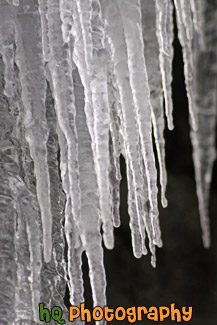 Icicles Up Close