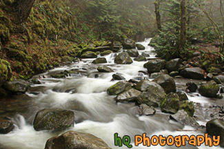 Multnomah Creek Streaming