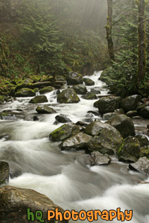 Multnomah Creek