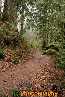 Nature Trail