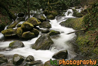 Multnomah Creek & Rocks