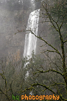 Multnomah Falls Behind Mossy Tree