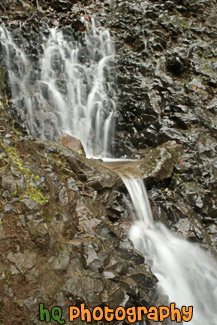 large version
