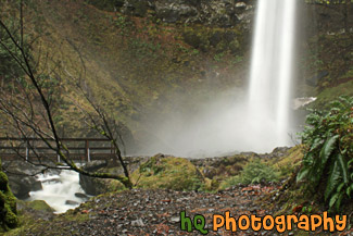 Elowah Falls & Bridge