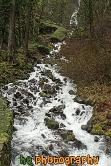 Wahkeena Falls