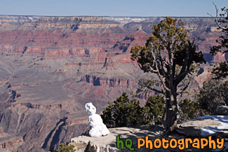 Snowman Looking at Grand Canyon