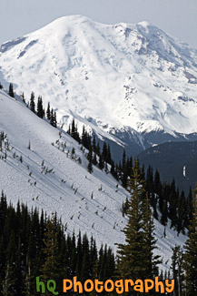 Mt. Rainier Close Up at Top of Crystal Mountain