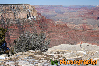 South Rim Grand Canyon View