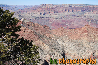 Grand Canyon & Desert View at South Rim