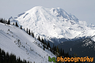 Mt. Rainier From Crystal Mountain