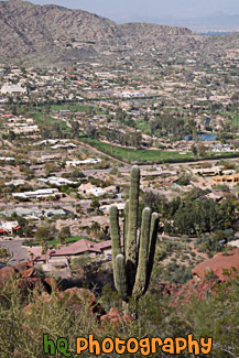 Camelback Mountain, Cactus, & Scottsdale