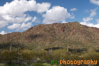 Arizona Landscape at San Tan Mountain