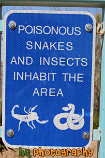 Poisonous Snakes & Insects Sign