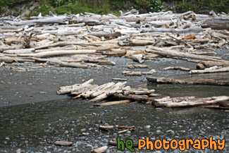 Driftwood on Ruby Beach