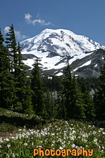 Mt. Rainier at Spray Park