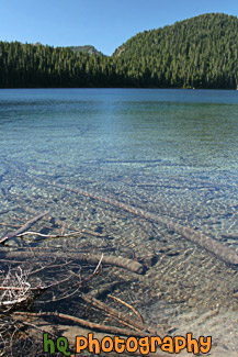 Mowich Lake & Clear Water