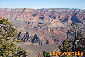 Grand Canyon View