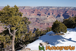 Grand Canyon Snow and View