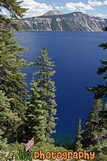 Crater Lake Through Trees