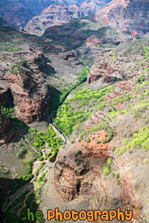 Waimea Canyon View